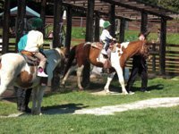 清里ポニー牧場引き馬