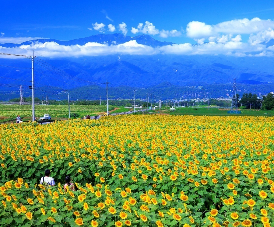 19-15「吸い込まれる絶景」菊原勝命.jpg