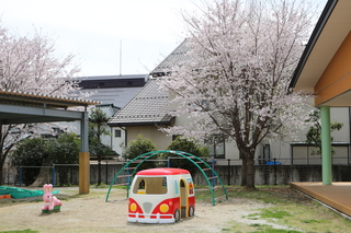 須玉保育園・さくら