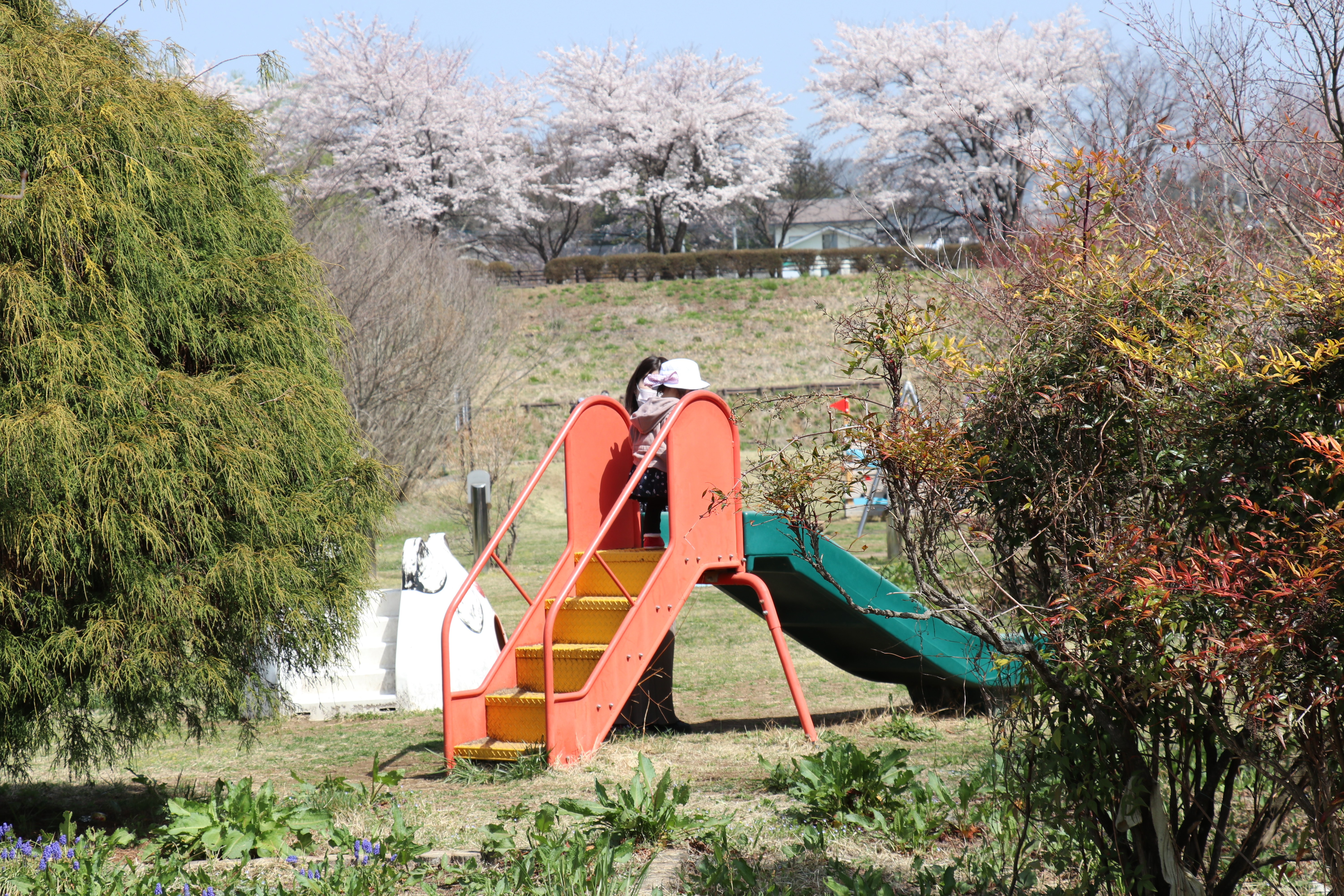 小っちゃい滑り台.JPG