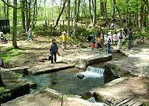 三分一湧水公園