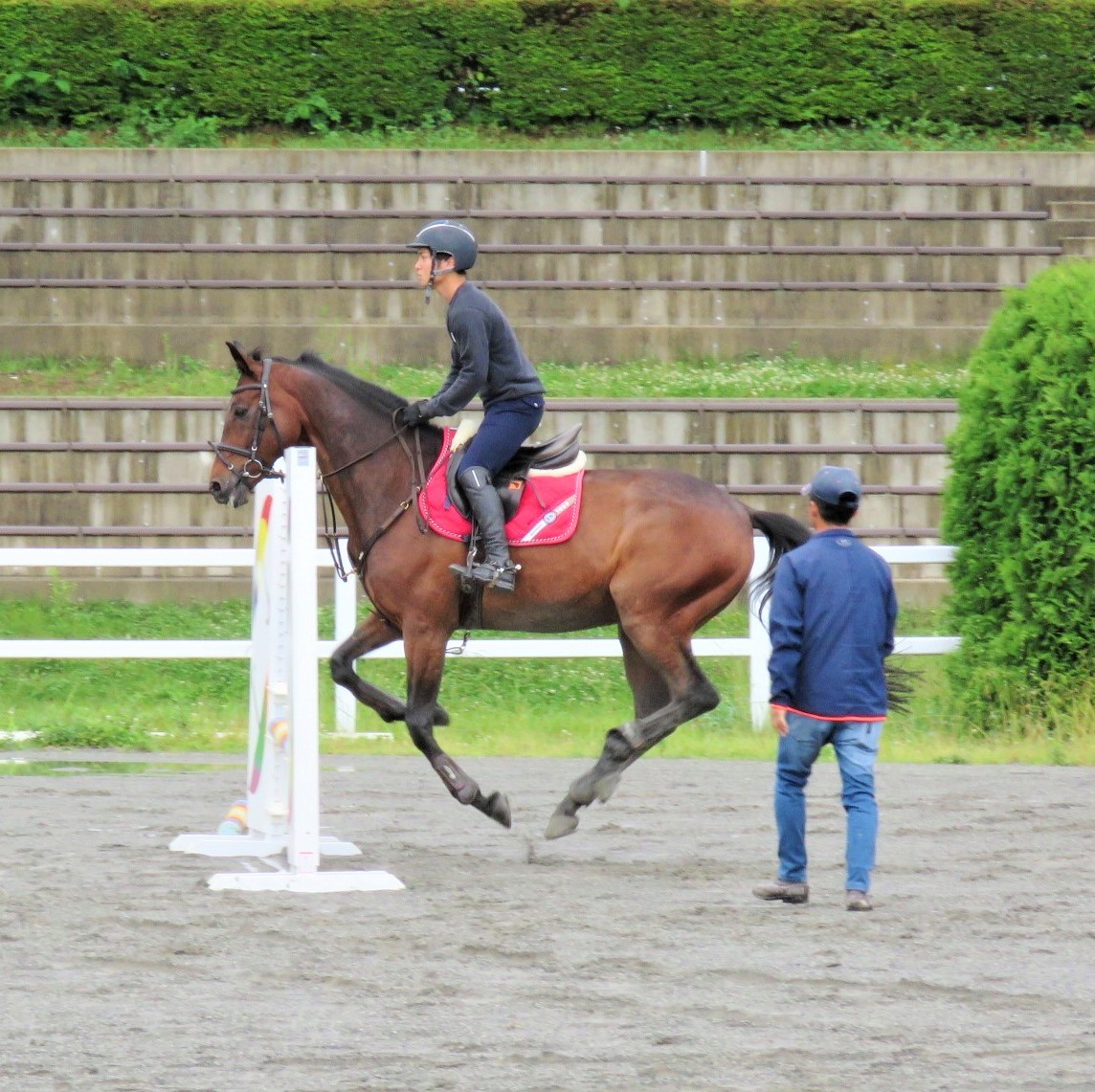 体がほぐれ収縮してきた馬体