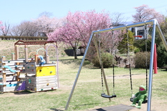 ふれあい公園ぶらんこ.JPG