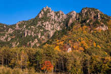 山が紅葉している写真