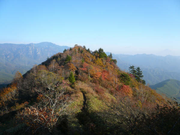 横尾山