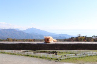 33やまねと富士山.JPG