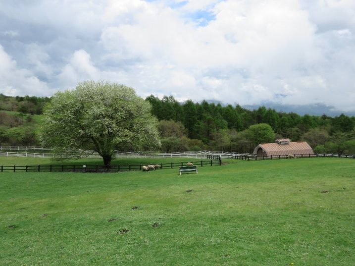 まきば公園