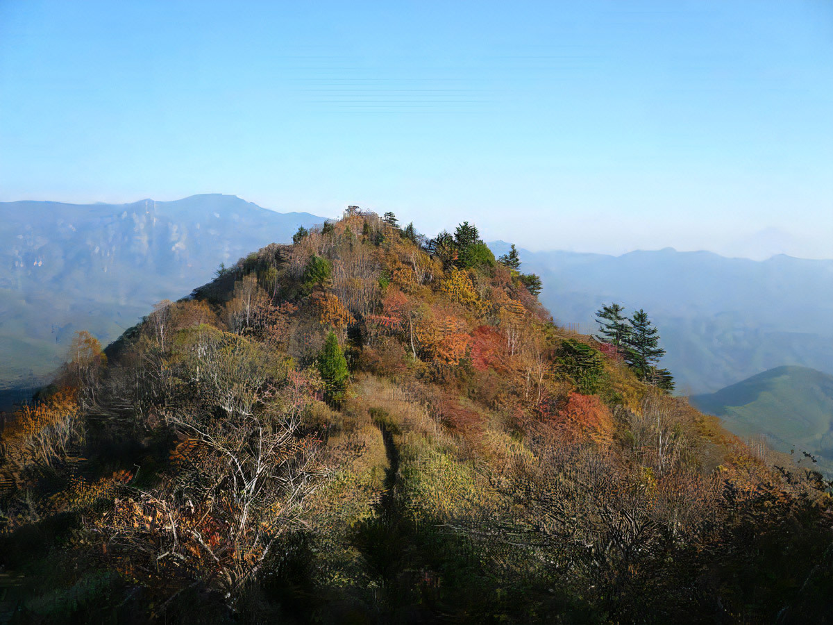 横尾山(よこおやま) 登山コースガイド