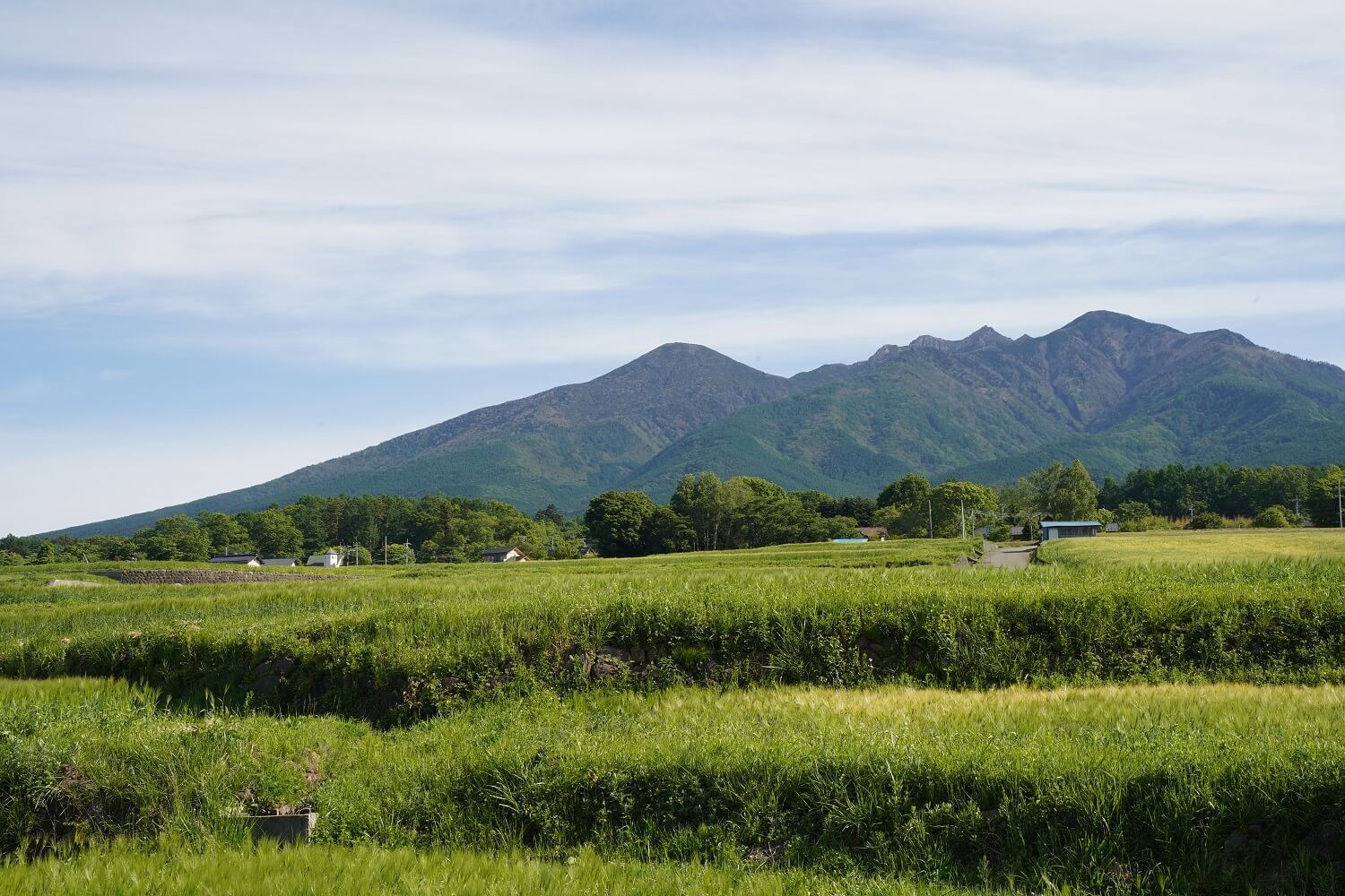 編笠山-02