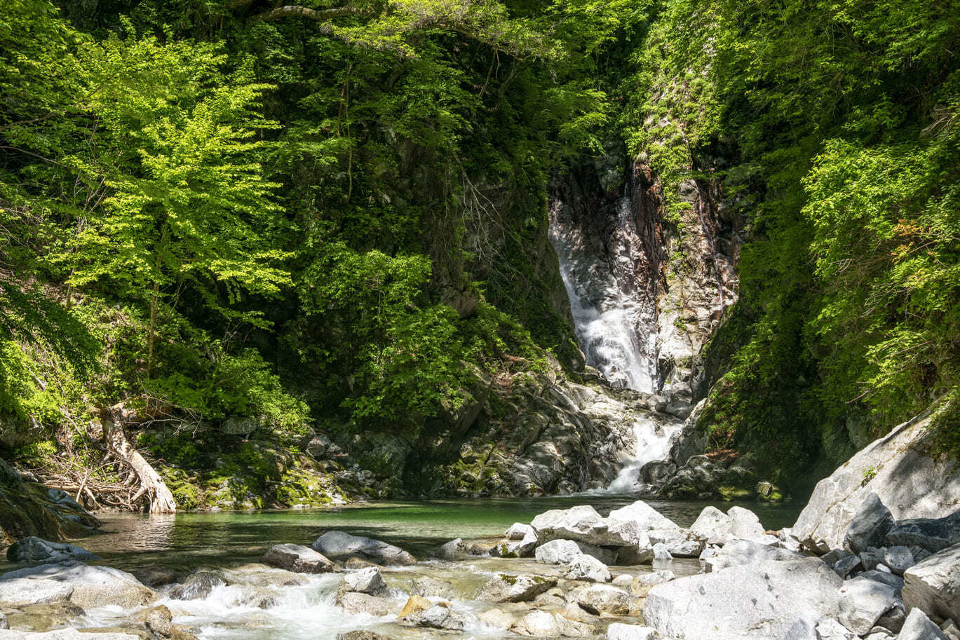 尾白川渓谷（おじらがわけいこく）登山コースガイド