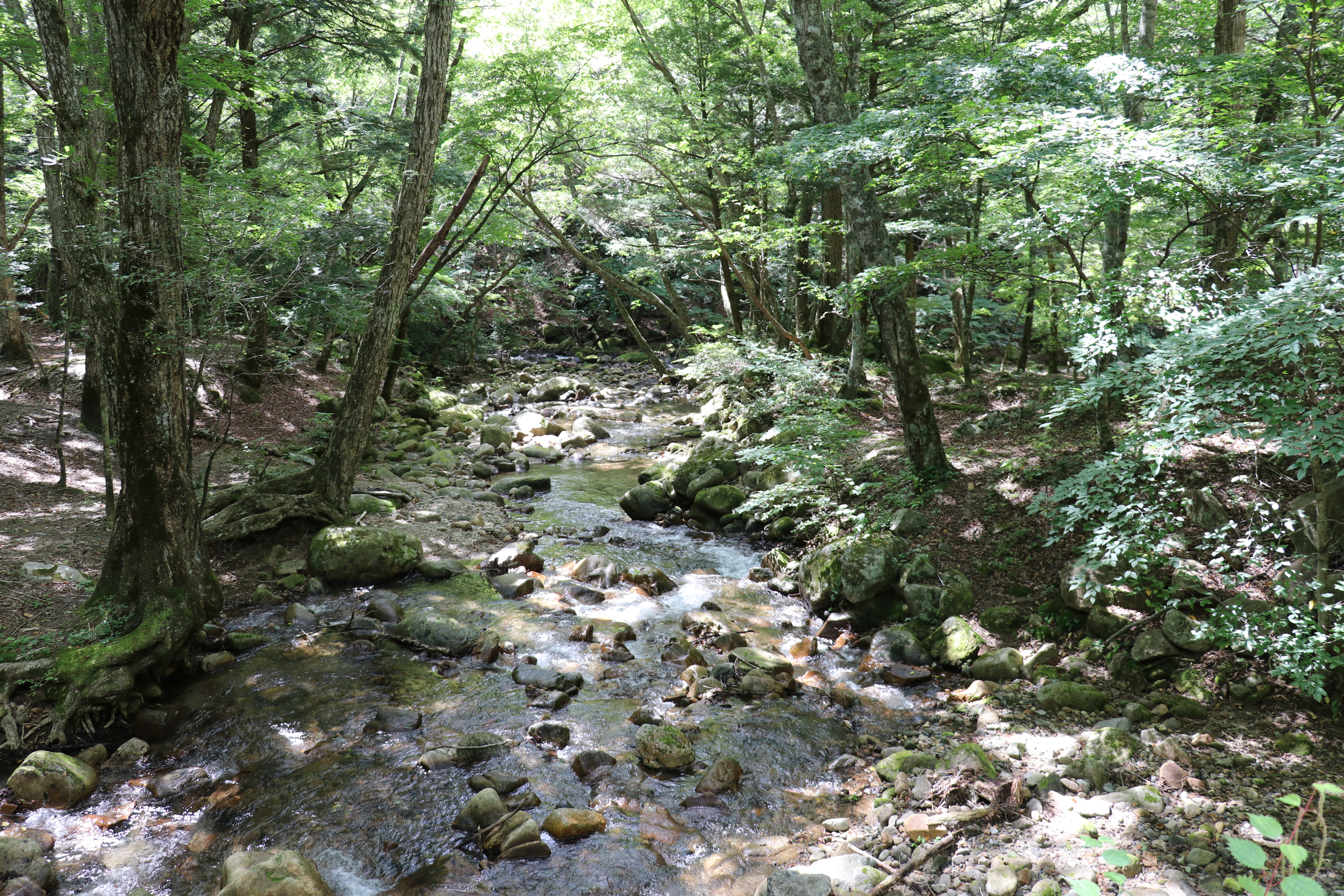 2川沿いの道の素敵な風景_17958_marked (1).jpg