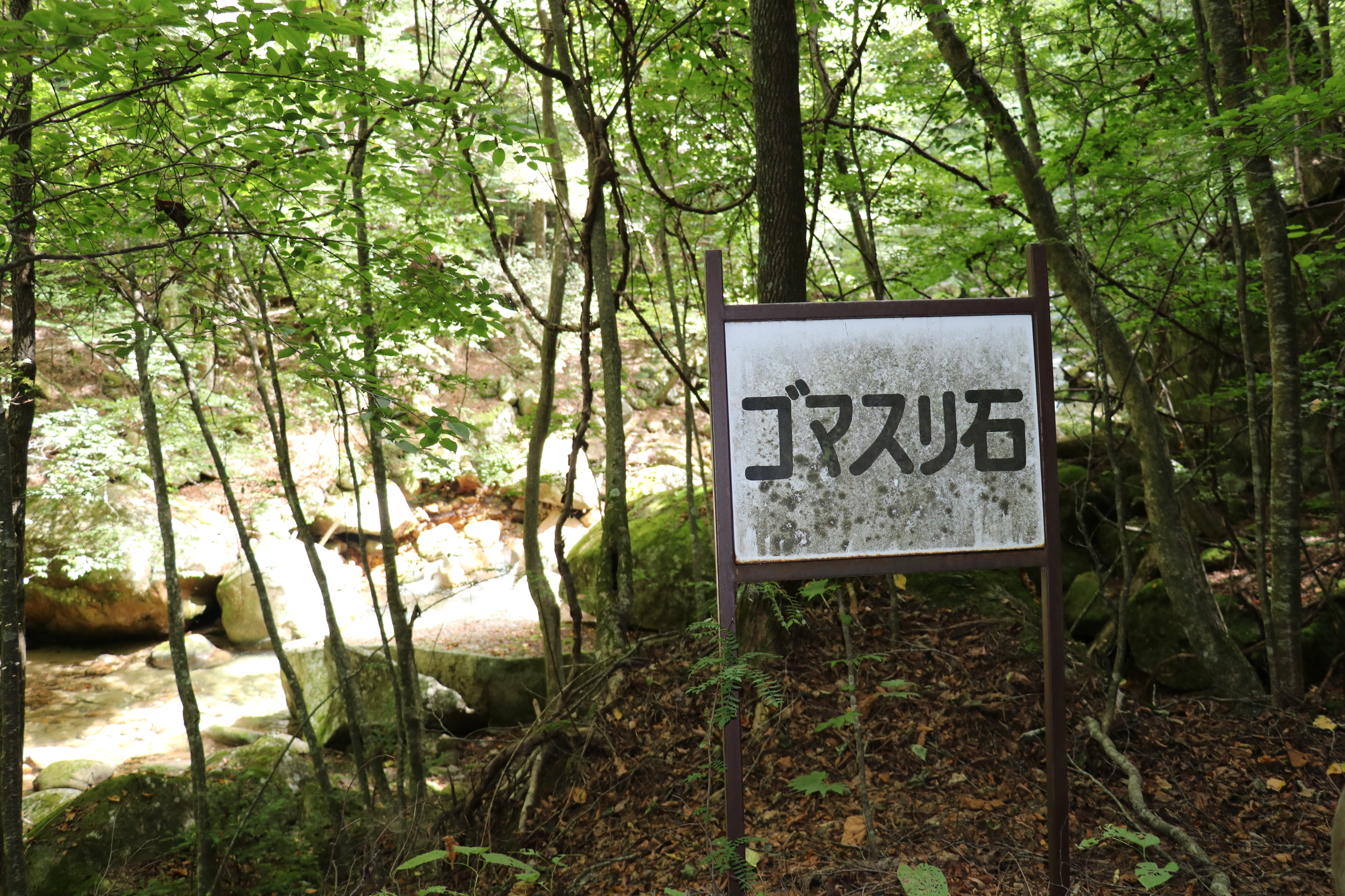 3ゴマすり石_18078_marked.jpg
