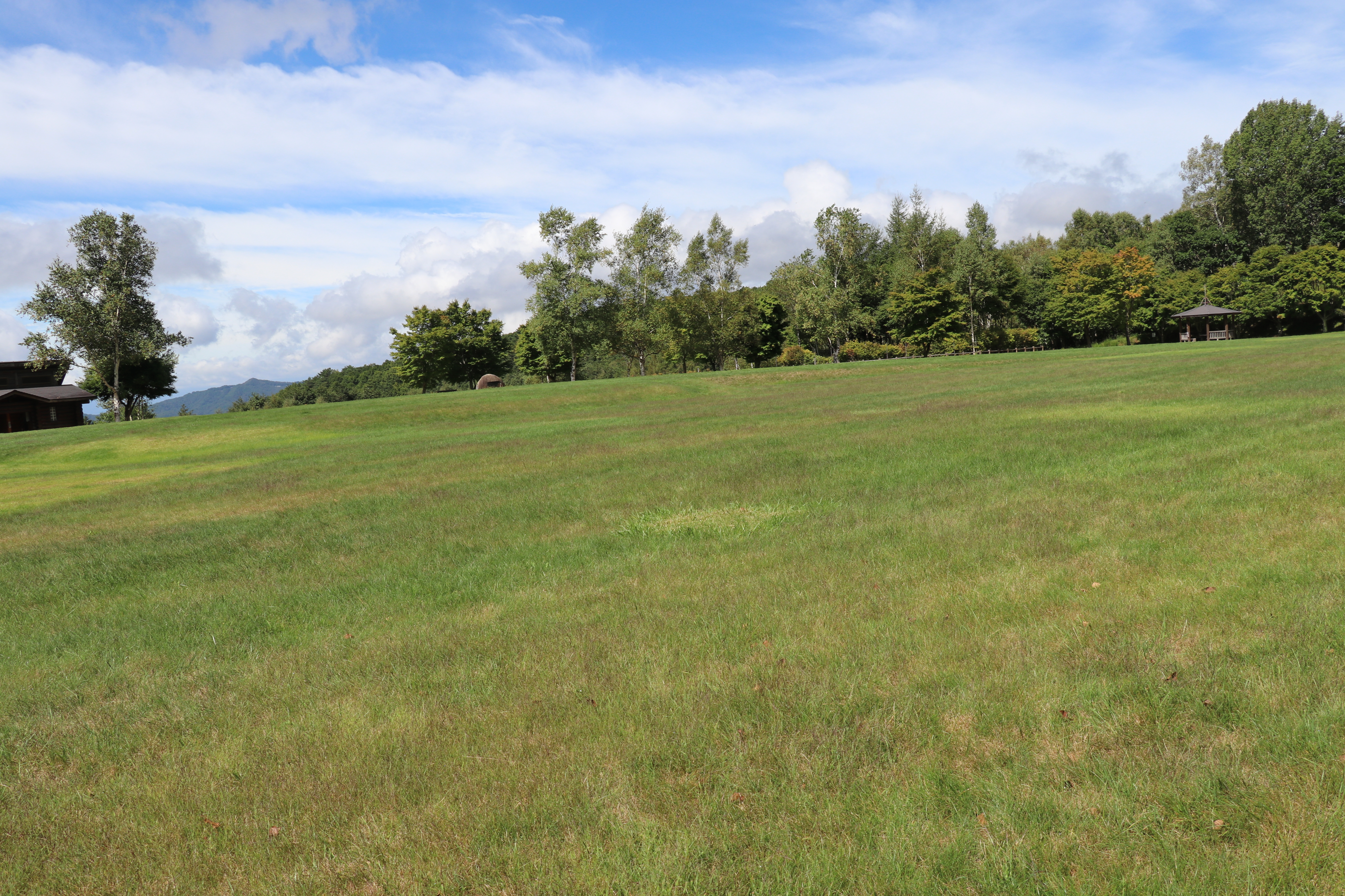 ＿みずがき山自然公園_19055_marked.jpg