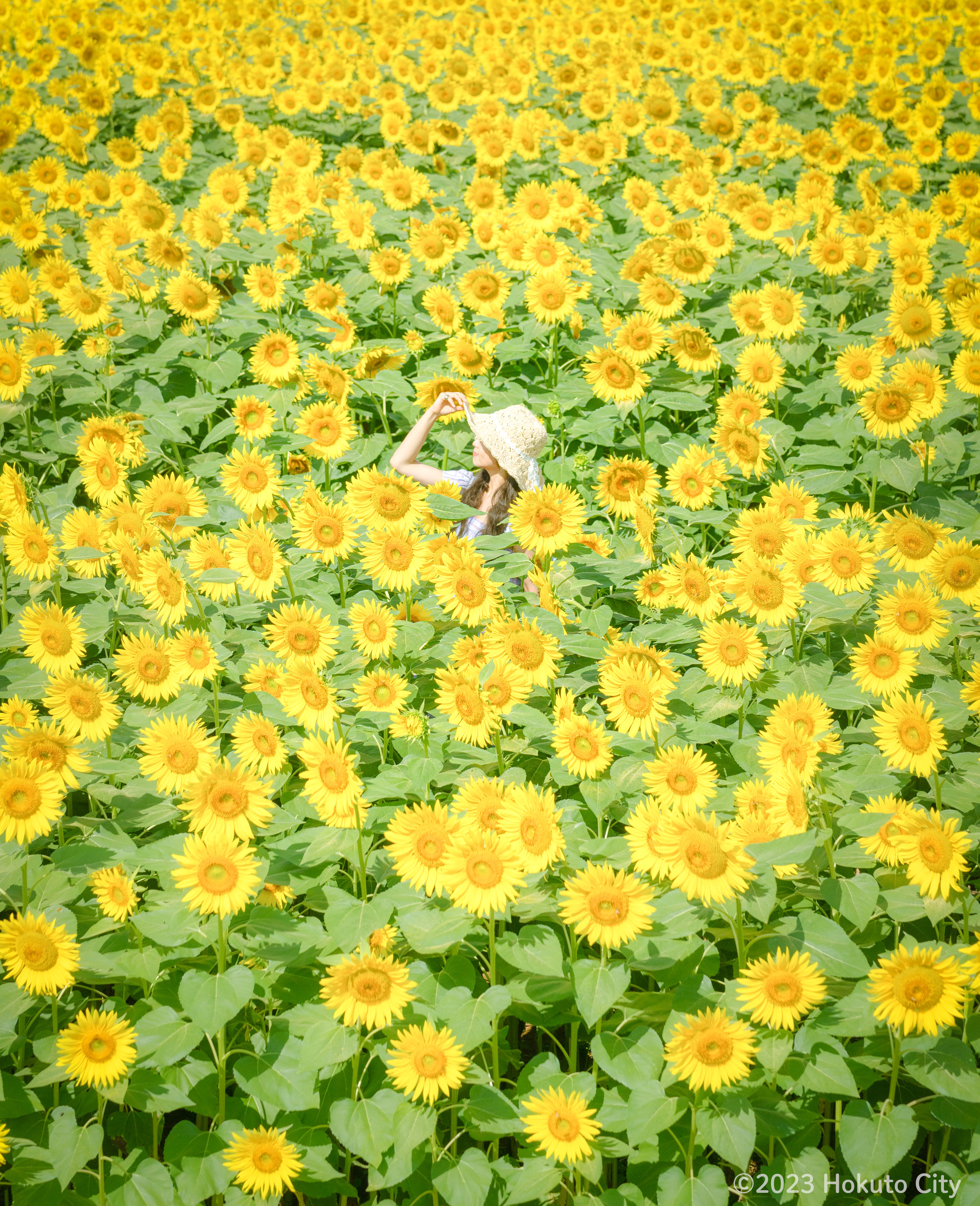 2023特別賞_kumiko_naru_17757_marked.jpg