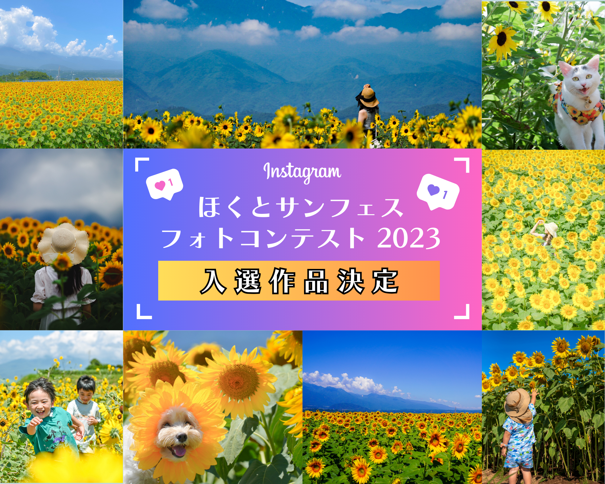 ほくとサンフェスフォトコンテスト2023受賞作品