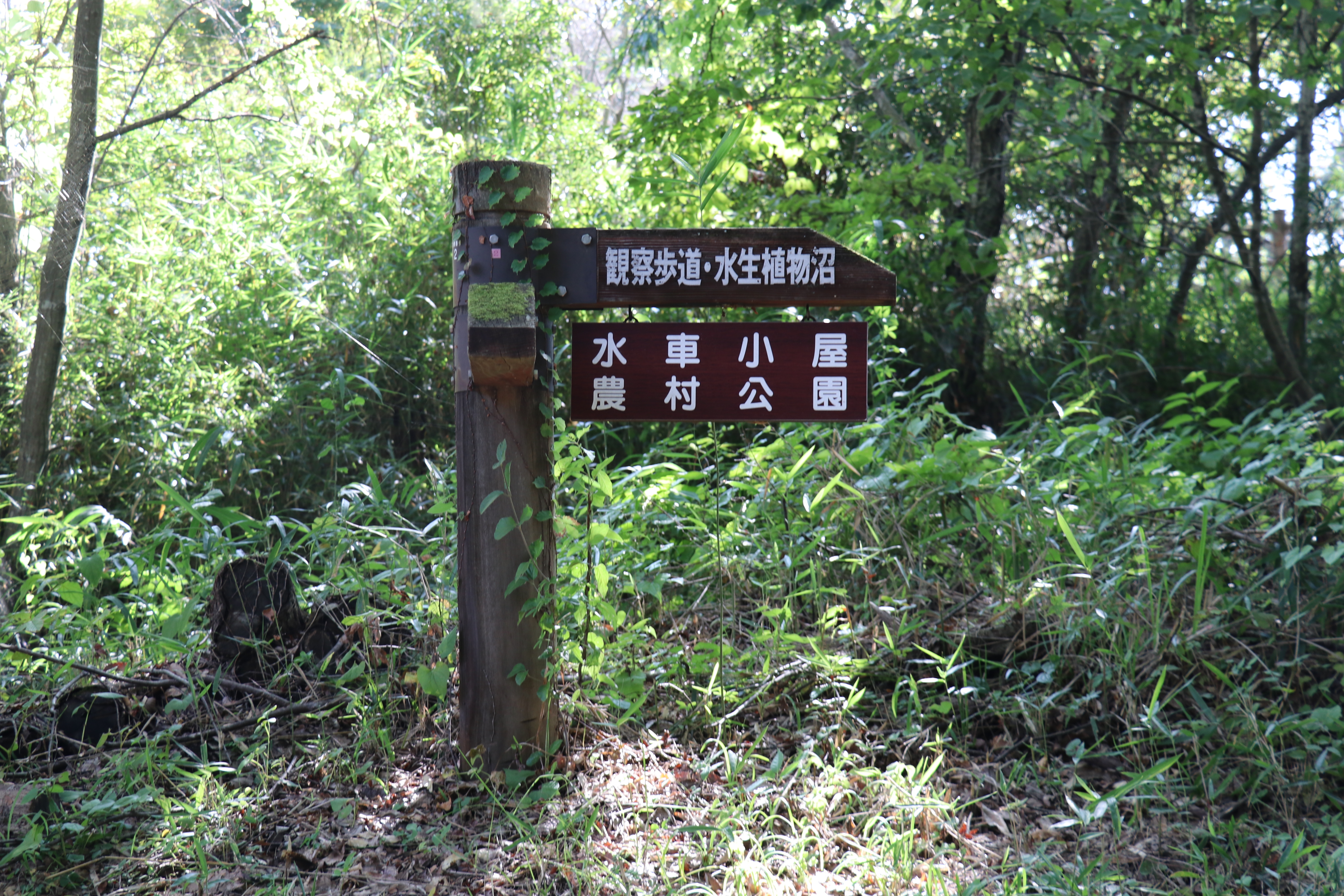 7水車小屋看板_31983_marked.jpg