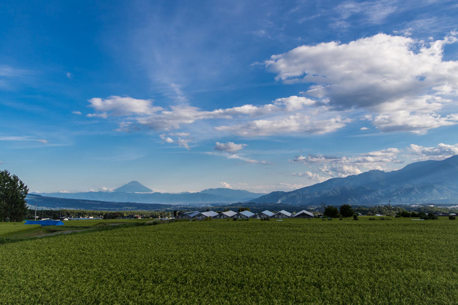 レインボーラインから望む富士山