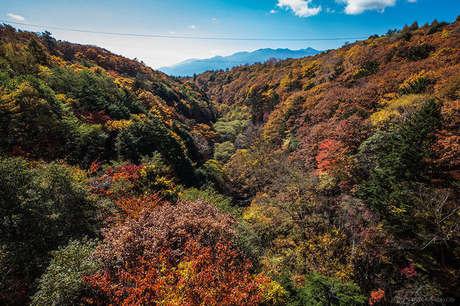 09.東沢大橋とまきば公園からの景観 15の写真