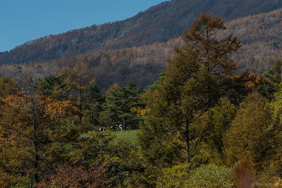 09.東沢大橋とまきば公園からの景観 17の写真