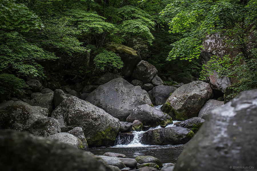 10.吐竜の滝と川俣川渓谷 01の写真