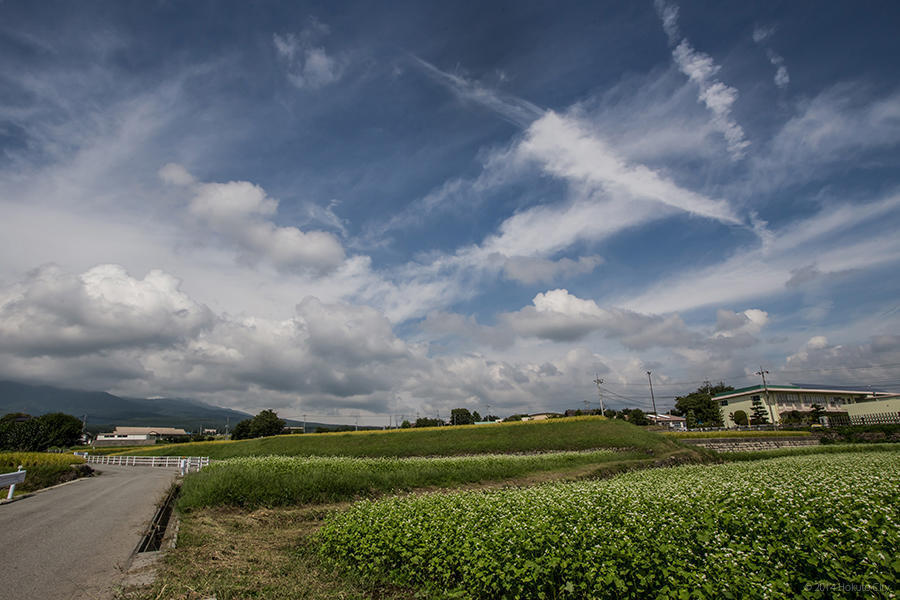 11.谷戸城趾からの田園風景と金生遺跡 09の写真