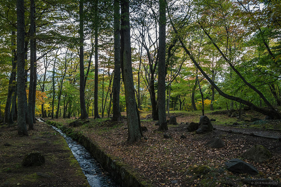 14.三分一湧水と平山郁夫シルクロード美術館 08の写真