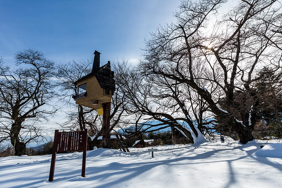 18.清春芸術村、桜と甲斐駒ヶ岳 06の写真