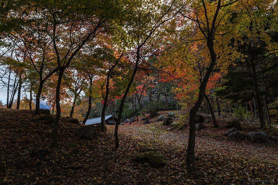 20.名水公園べるがと甲斐駒ヶ岳 12の写真