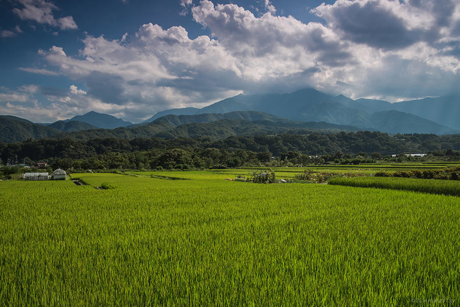 23.武川米の郷、田園風景 02の写真