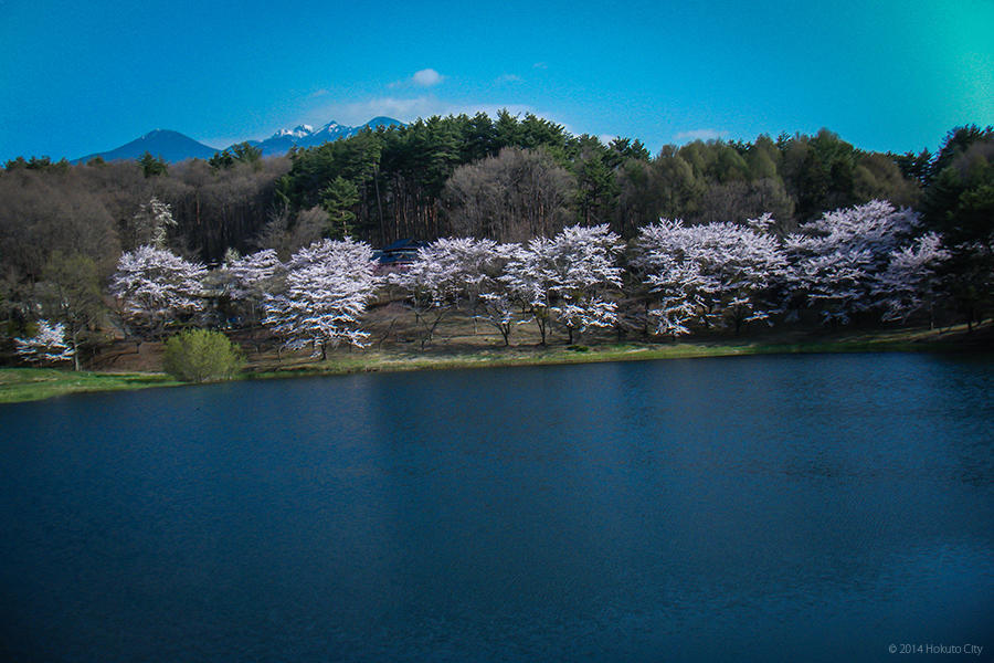 みどり湖の写真