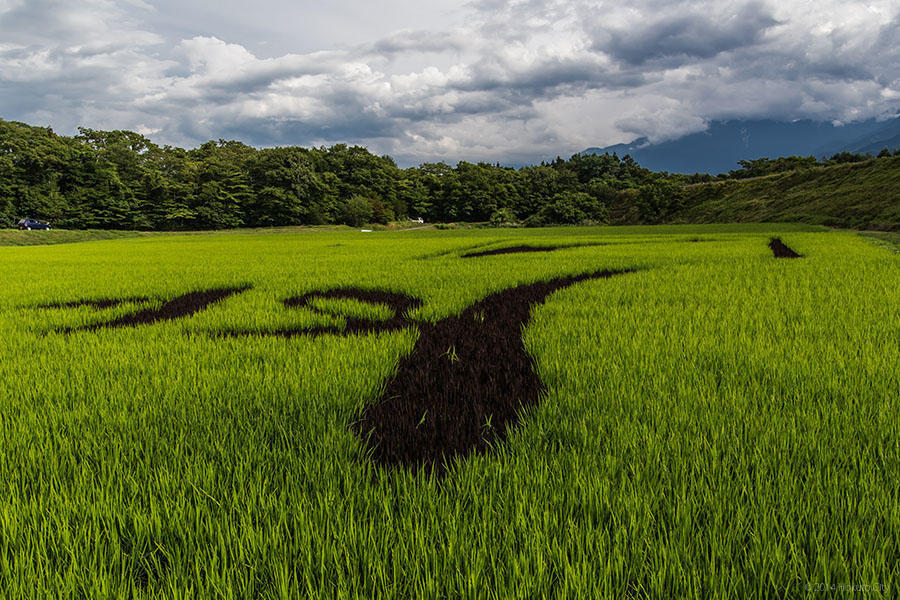 稲絵アートフェスティバル 01の写真