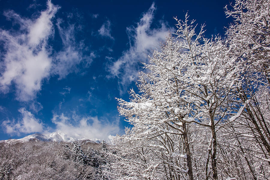 雪景色 05の写真