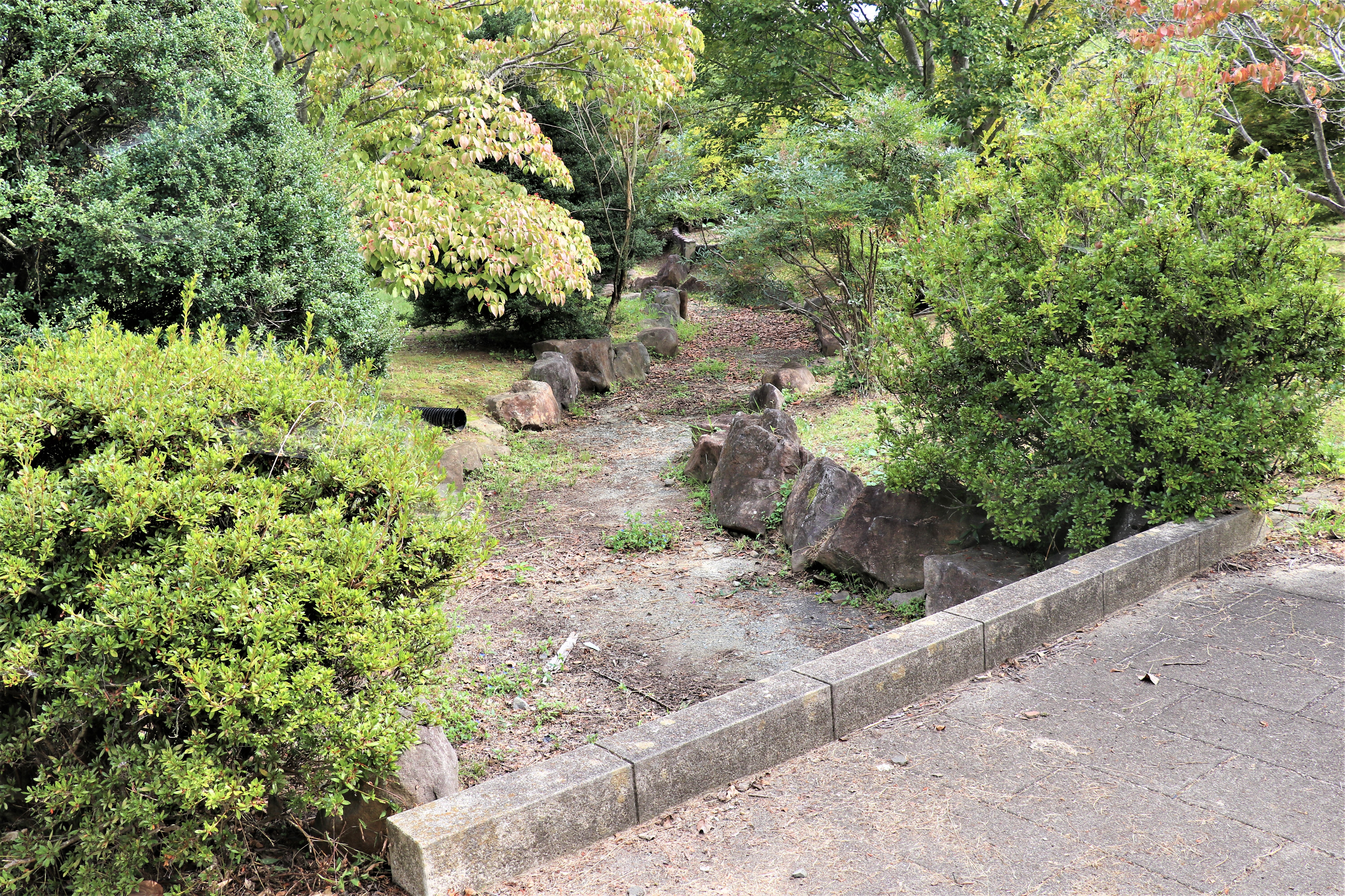 13公園の中の川.jpg