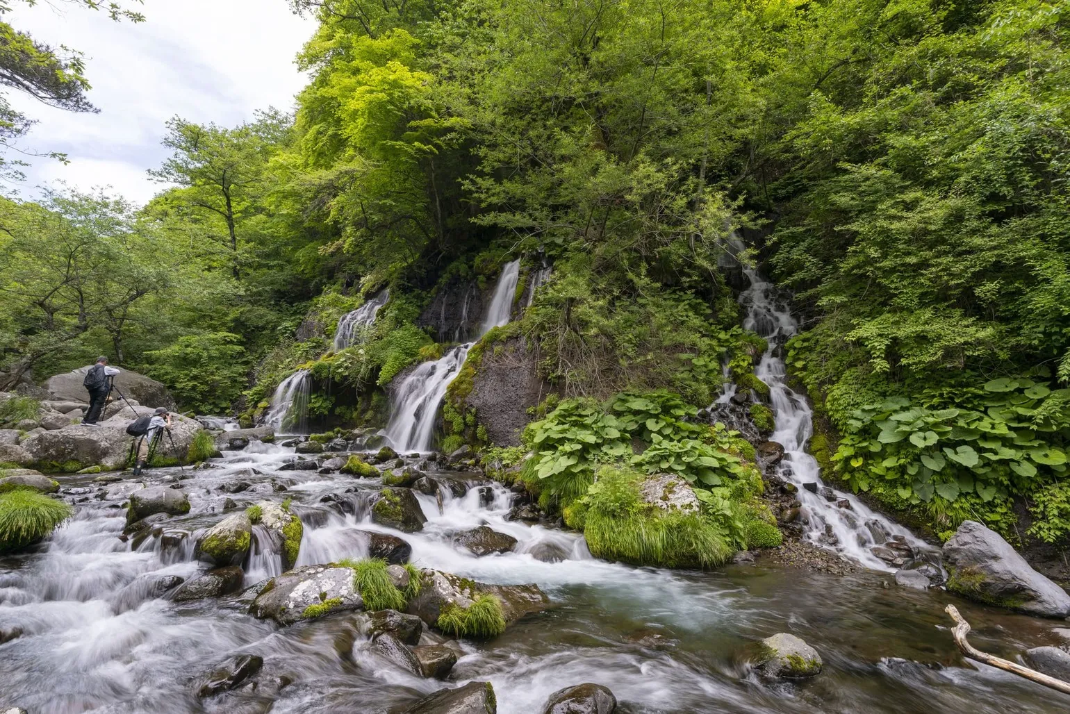 川俣川渓谷：吐竜の滝（かわまたがわけいこく どりゅうのたき）- 登山コースガイド-01