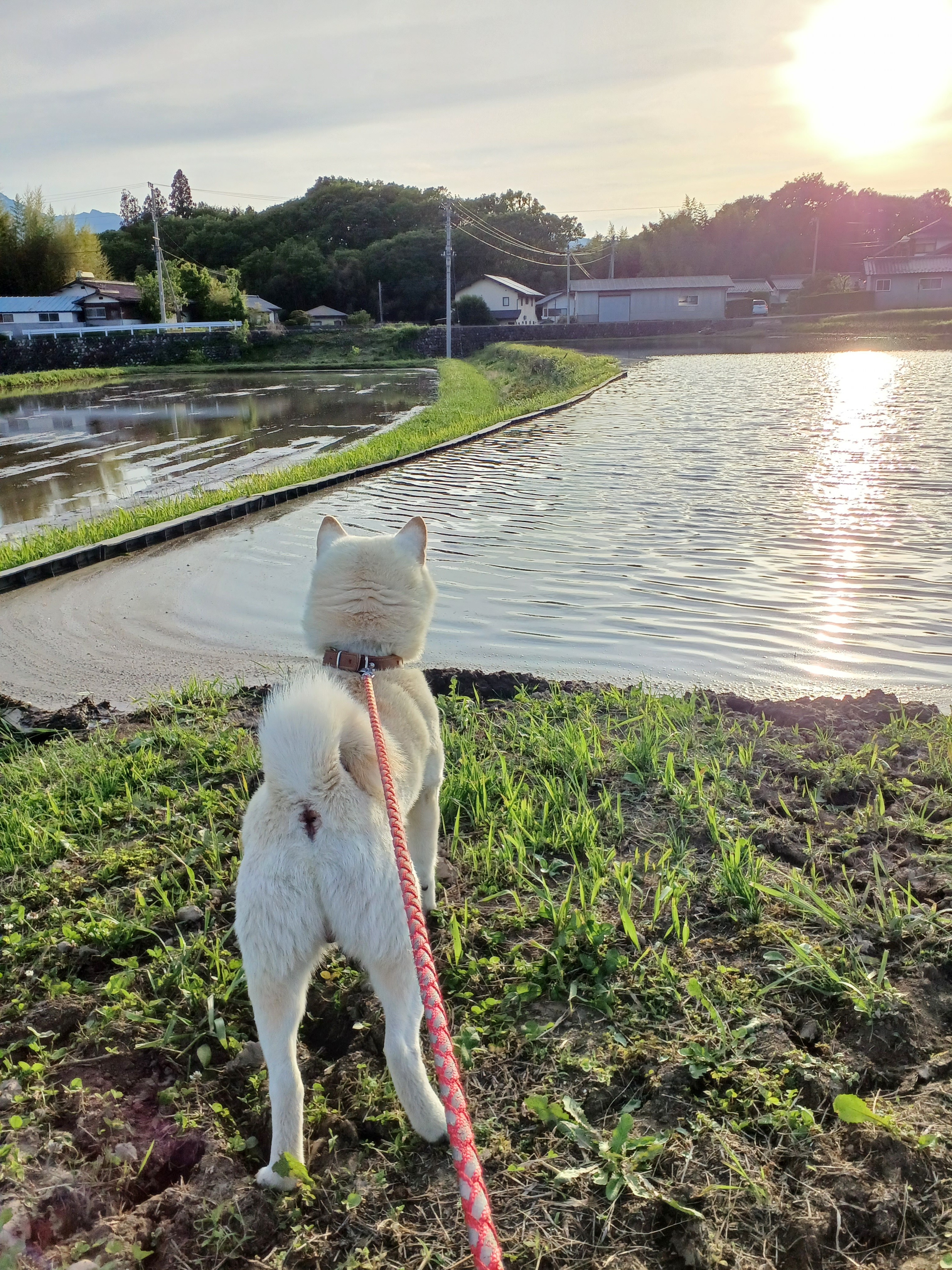 来てね！ニコニコスマイルルーム