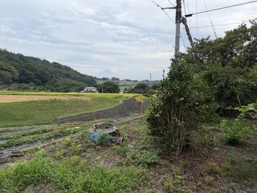 11眺望 (JPEG 135KB)