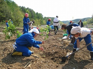 明野小植樹